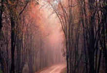 [中超]惊天大逆转 山东泰山绝杀梅州客家.