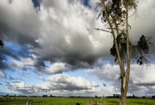 [中超]惊天大逆转 山东泰山绝杀梅州客家.