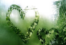 NG体育官网：搜狐新闻马拉松郑姝音6km完赛：这次感受特别好.