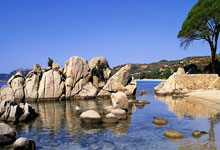 武汉唱响全民健身“四季歌.